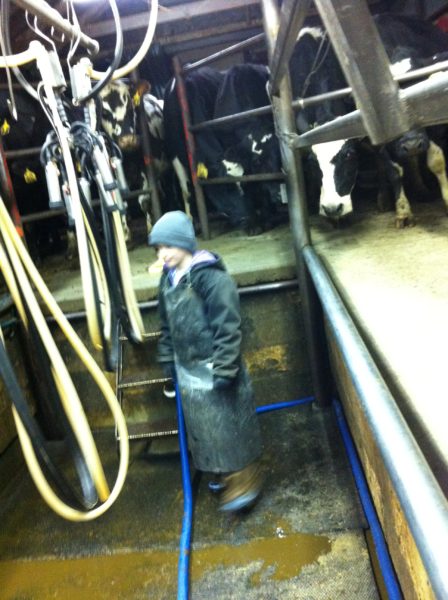 Ella Milking
