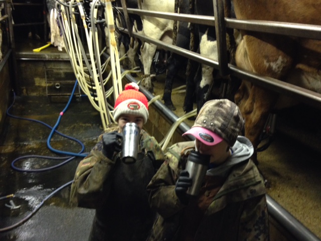 ana-and-ella-milking-with-their-travel-mugs